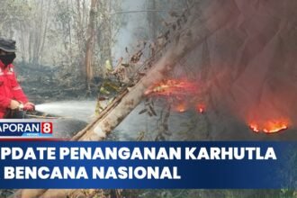 Update Karhutla & Bencana Nasional 2026, BNPB Intensifkan Pemadaman di Gunung Sumbing Wonosobo