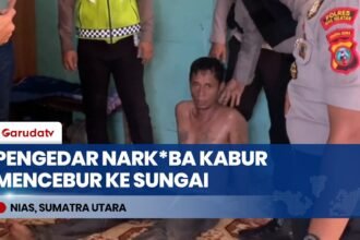 Detik-Detik Pengedar Narkoba Kabur Mencebur ke Sungai, Polres Nias Selatan Amankan Satu Pelaku
