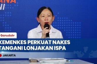Dampak Karhutla: Kemenkes Perkuat Tenaga Kesehatan & Fasilitas Medis Tangani Lonjakan Kasus ISPA