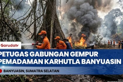 Karhutla Sumsel: Petugas Gabungan Terus Padamkan Api, Warga Banyuasin Diimbau Pakai Masker