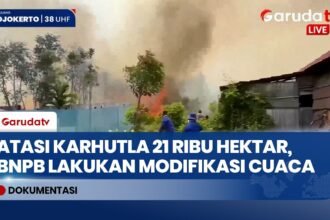 Tangani Karhutla, BNPB Semai 13 Ton Garam dan Es Kering di Udara