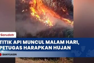Titik Api Karhutla Kembali Muncul di Malam Hari, Hujan di Sumsel Jadi Harapan Petugas