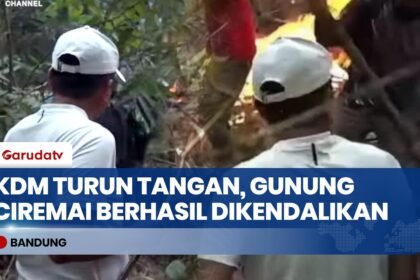 Pemprov Jabar Buat Sayembara Berhadiah Rp10 Juta untuk Pemburu Penebang Kayu Sonokeling