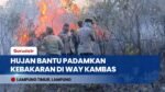 Hujan Bantu Padamkan Kebakaran di Taman Nasional Way Kambas, Petugas Gabungan Tetap Siaga di Lokasi