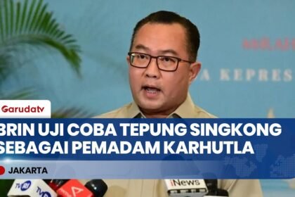Inovasi Baru Penanganan Karhutla: BRIN Siap Uji Coba Tepung Singkong untuk Pemadaman Api