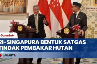 RI-Singapura Bentuk Satgas Bersama Usut & Tindak Perusahaan Pelaku Pembakaran Hutan
