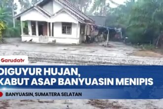Update Karhutla Banyuasin: Diguyur Hujan, Kabut Asap Menipis & Jarak Pandang Membaik