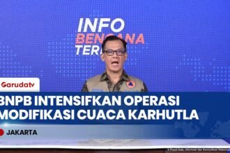 Update BNPB: Operasi Modifikasi Cuaca & Pemadaman Darat Berhasil Turunkan Hujan di Kalimantan