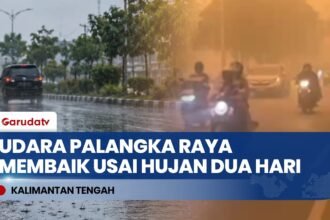 Diguyur Hujan Dua Hari, Kabut Asap di Palangka Raya Mulai Menipis dan Udara Membaik