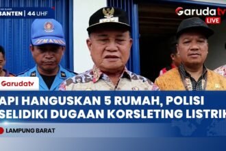 Kebakaran di Lampung Barat Hanguskan Lima Rumah, Kerugian Ditaksir Rp2 Miliar