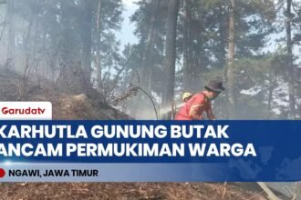 Karhutla Gunung Butak Ngawi Meluas Jelang Permukiman, 60 Hektare Lahan Hangus Terbakar
