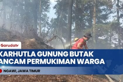 Karhutla Gunung Butak Ngawi Meluas Jelang Permukiman, 60 Hektare Lahan Hangus Terbakar