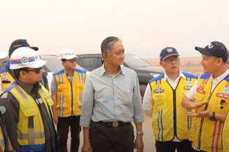Padi Tetap Menghijau di Tengah Kemarau, Proyek Lumbung Pangan Wanam Siap Panen Perdana 40 Hektare