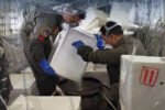 BNPB mencatat titik panas karhutla Papua Selatan turun 78 persen setelah 10 sorti operasi modifikasi cuaca dengan penyemaian 10 ton garam, meski ancaman El Niño masih membayangi.