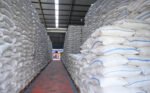 Petugas memeriksa persediaan beras di gudang penyimpanan saat cadangan beras pemerintah mencapai 4,55 juta ton pada Oktober 2026.