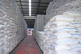 Petugas memeriksa persediaan beras di gudang penyimpanan saat cadangan beras pemerintah mencapai 4,55 juta ton pada Oktober 2026.