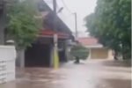 Banjir Cibinong merendam 113 rumah dan berdampak pada 205 jiwa setelah tanggul Kali Sugu Tamu jebol akibat hujan deras, Minggu (25/10/2026).