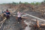 Kemensos menunggu data pemerintah daerah untuk menyalurkan bantuan korban karhutla, mulai dari kebutuhan rumah tangga hingga dukungan bagi warga yang mengalami gangguan kesehatan akibat asap.