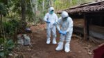 Kementan memperkuat pengendalian antraks di Gunungkidul melalui vaksinasi, disinfeksi, pemeriksaan laboratorium, surveilans, dan edukasi masyarakat.