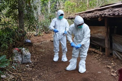Kementan memperkuat pengendalian antraks di Gunungkidul melalui vaksinasi, disinfeksi, pemeriksaan laboratorium, surveilans, dan edukasi masyarakat.