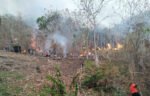 BNPB melaporkan 663 hektare lahan gambut terbakar hingga 13 Oktober 2026, sementara Kalimantan Tengah dan Sumatera Selatan menjadi fokus penanganan melalui pemadaman darat, water bombing, dan operasi modifikasi cuaca.