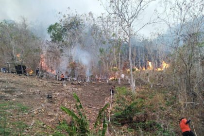BNPB melaporkan 663 hektare lahan gambut terbakar hingga 13 Oktober 2026, sementara Kalimantan Tengah dan Sumatera Selatan menjadi fokus penanganan melalui pemadaman darat, water bombing, dan operasi modifikasi cuaca.
