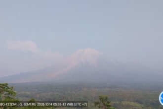 Gunung Semeru masih berstatus Siaga pada 14 Oktober 2026 setelah puluhan gempa erupsi, guguran, dan hembusan tercatat dalam enam jam pengamatan.